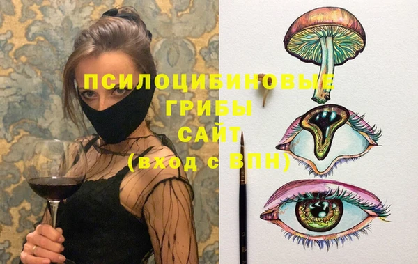 ALPHA PVP Белокуриха