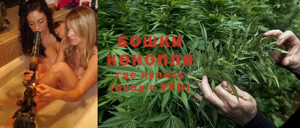 ALPHA PVP Белокуриха