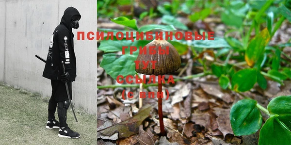 ALPHA PVP Белокуриха