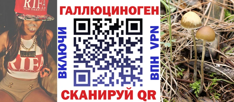 Купить где  Николаевск-на-Амуре  Псилоцибиновые грибы MAGIC MUSHROOMS 